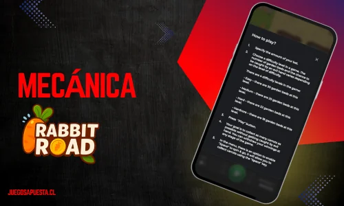 Rabbit Road Mecanica